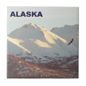 ウインターイーグル タイル (正面)