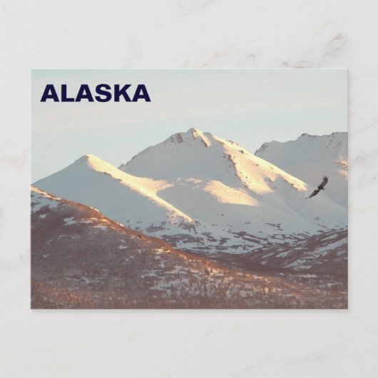 ウインターイーグル ポストカード (正面)