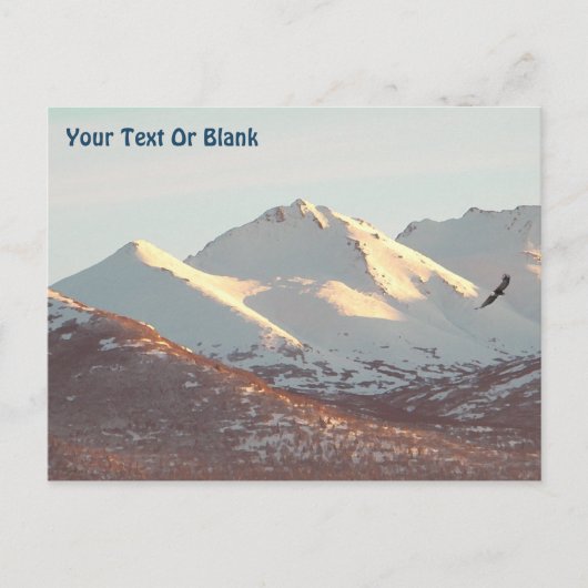 ウインターイーグル ポストカード (正面)