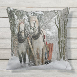 ウインタータイムズスリー乗り クッション