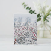 ウインターベリーとカタチ ポストカード (スタンド正面)