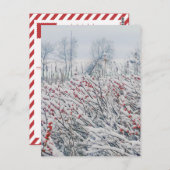 ウインターベリーとカタチ ポストカード (正面/裏面)