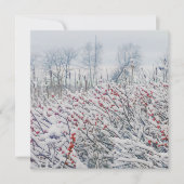 ウインターベリーとカタチ 招待状 (正面)