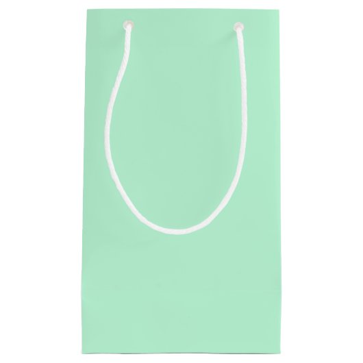 ウインターミント無地のカラー スモールペーパーバッグ (正面)