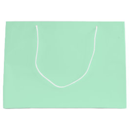 ウインターミント無地のカラー ラージペーパーバッグ