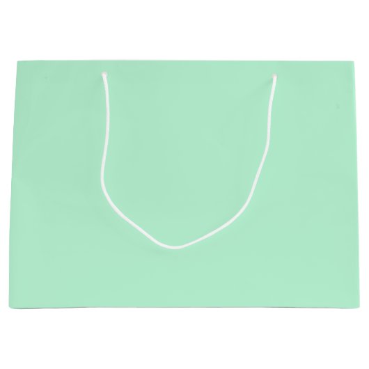 ウインターミント無地のカラー ラージペーパーバッグ (正面)