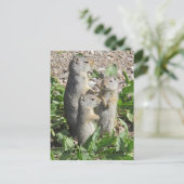 ウインタGROUND SQUIRRELファミリーポストカード ポストカード (スタンド正面)