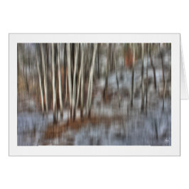 ウインドカードのポプラークラスター