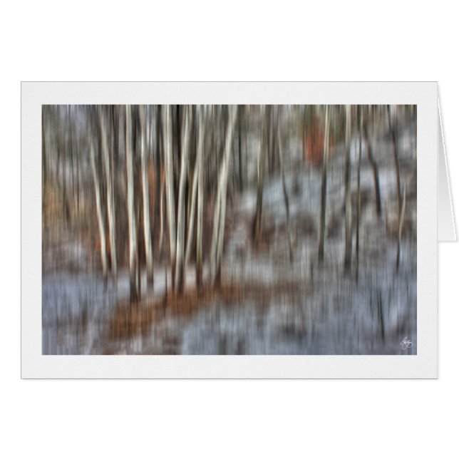 ウインドカードのポプラークラスター (正面横)