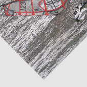 ウインドサーファー 薄葉紙 (詳細)