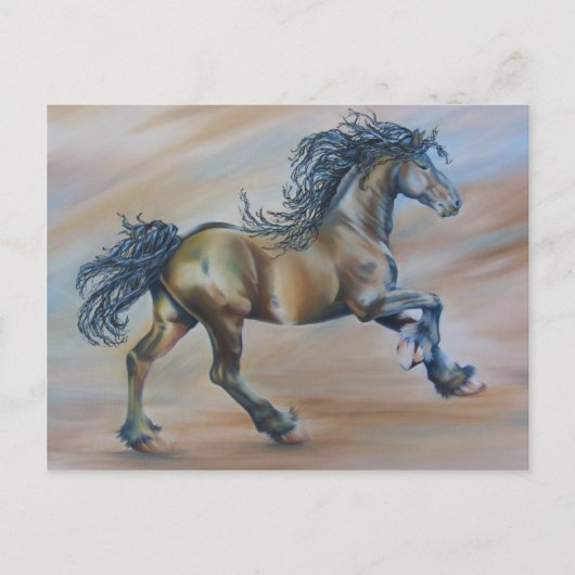 ウインドレーサー ポストカード (正面)