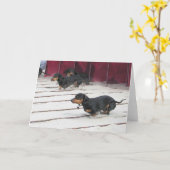 ウインナーは競争の後をつけます カード (黄色い花)