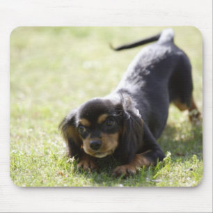 ウインナー犬(黒) 2 マウスパッド