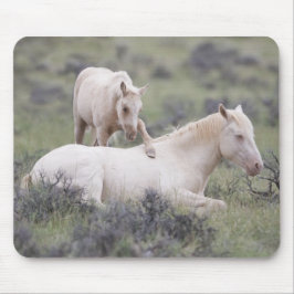 ウェイクアップブラザーマウスパッド マウスパッド