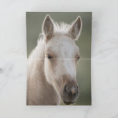 ウェイクアップブラザーワイルドホースのグリーティングカード カード (内部)