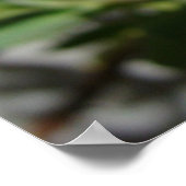 ウェイクイエローデイジー ポスター (角)