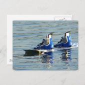 ウェイクボード360ポストカード ポストカード (正面/裏面)