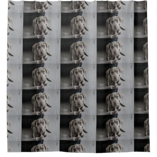 ウェイマラナー·ワンピー シャワーカーテン (正面)