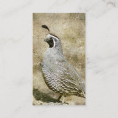 ウェイル 名刺 (裏面)