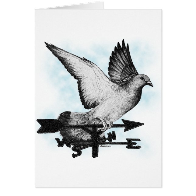 ウェザーベーンホーマー2 (正面)