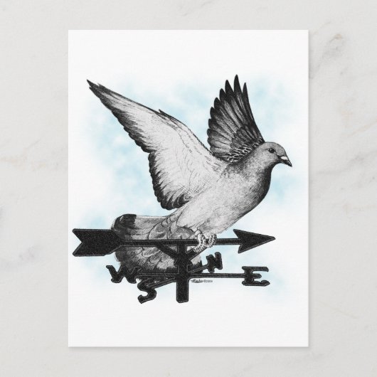 ウェザーベーンホーマー2 ポストカード (正面)