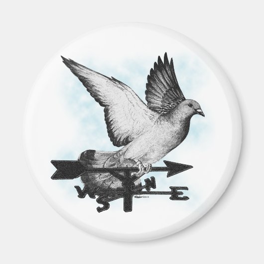 ウェザーベーンホーマー2 マグネット (正面)