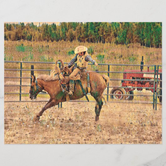 ウェスタンカウボーイカントリー馬術 (正面)