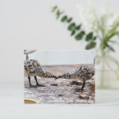 ウェスタンガルチックス葉書 ポストカード (スタンド正面)