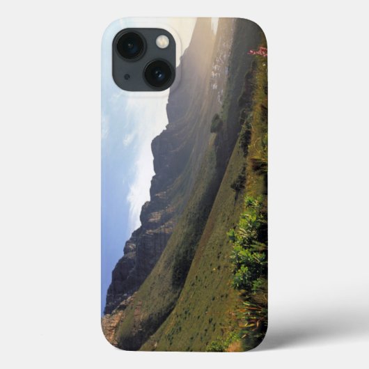ウェスタンケープケープタウン十二使徒 Case-Mate iPhoneケース (裏面)