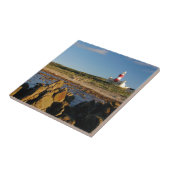 ウェスタンケープ2アグラス灯台 タイル (側面)