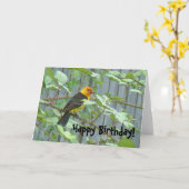 ウェスタンタナガーバード誕生日カード カード (黄色い花)