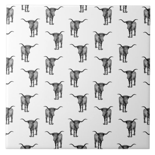 ウェスタンテキサス州ロングブカスタムルBGカラー タイル (正面)