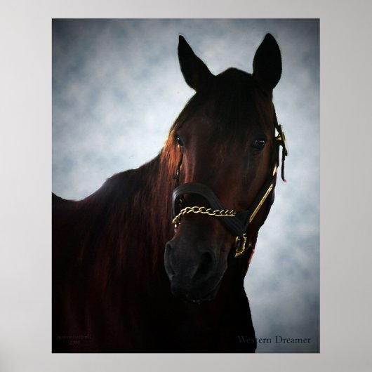 ウェスタンドリーマー ポスター (正面)