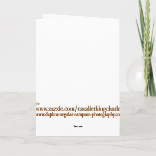 ウェスタンハッピーバースデーカバリエールキングチャールズ カード (裏面)