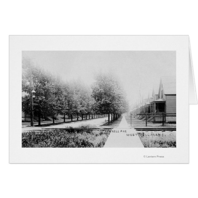 ウェスタンビューオブパーネルアベニュー (正面横)