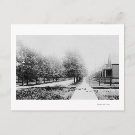 ウェスタンビューオブパーネルアベニュー ポストカード (正面)