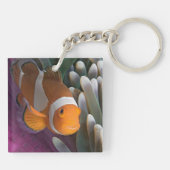 ウェスタンピエロアネモネフィッシュ キーホルダー (裏面)