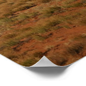 ウェスタンレンジの馬 ポスター (角)