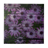 ウェスタン初期のカントリーバーンプランクパープルデイジー タイル (正面)