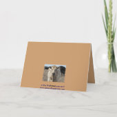 ウェスタン ウェディング アニバーサリー 牛の群れ カード (裏面)