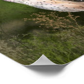 ウェスタン・バーンフクロウ絵画のポスター ポスター (角)