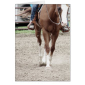 ウェスタン・ライディング (正面)