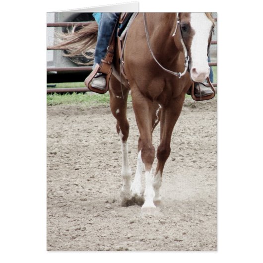 ウェスタン・ライディング (正面)