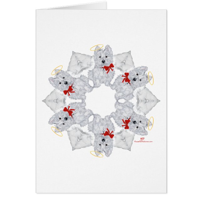 ウェスティエンジェルスノーフレーク (正面)