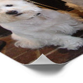 ウェスティガールトリオ ポスター (角)