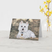 ウェスティグリーティングカード カード (黄色い花)