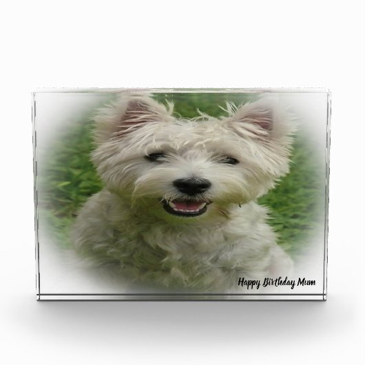 ウェスティテリア犬 フォトブロック (正面)