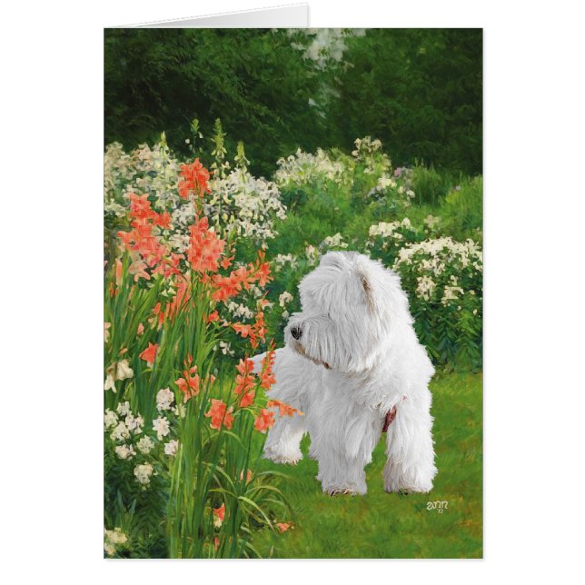 ウェスティーインザガーデン (正面)