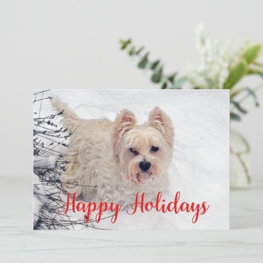 ウェスティーインザスノーハッピーホリデーズカード シーズンカード (スタンド正面)