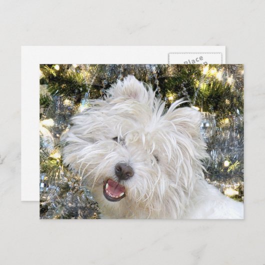 ウェスティークリスマス シーズンポストカード (正面/裏面)